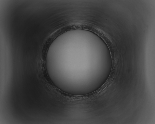 X0000100950822200806241121