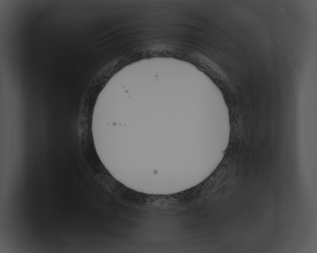 X0000100950824200806241121