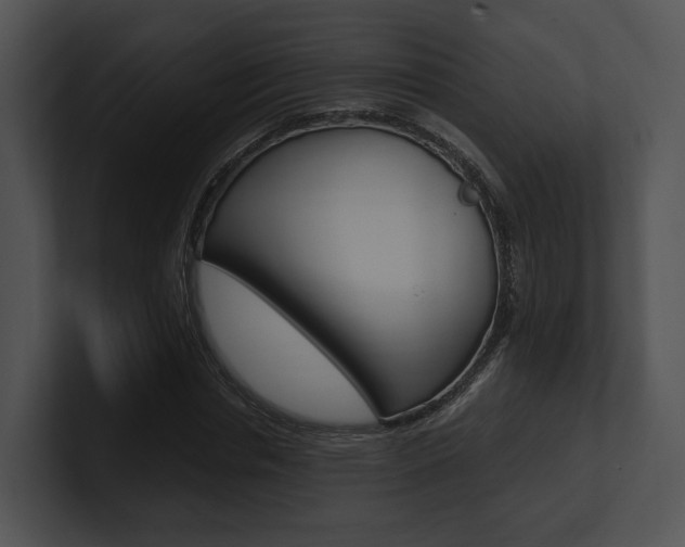 X0000100950826200806241121