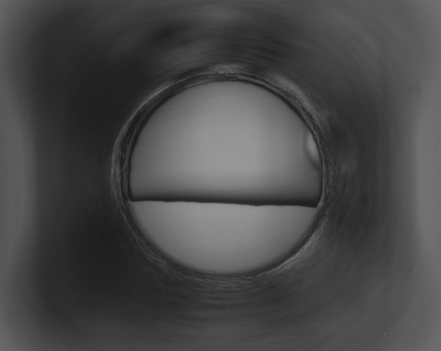 X0000100950827200806241121
