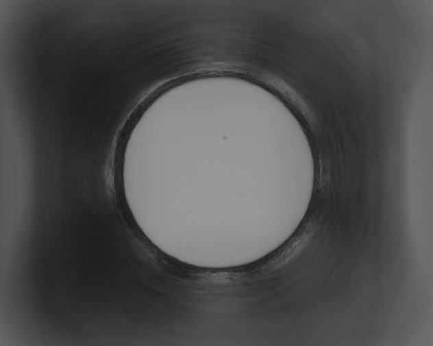 X0000100950828200806241121