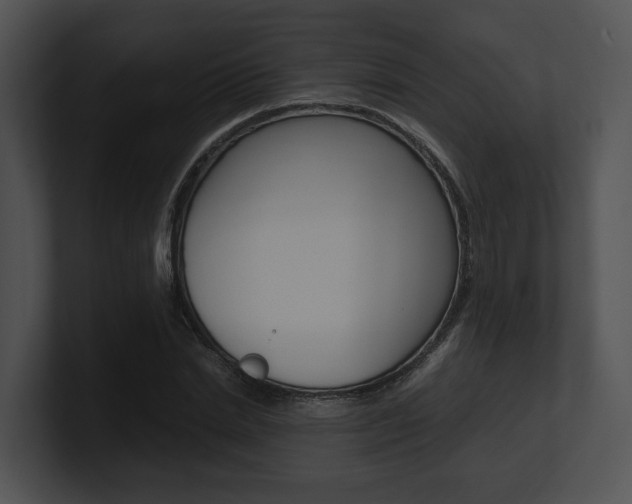 X0000100950830200806241121