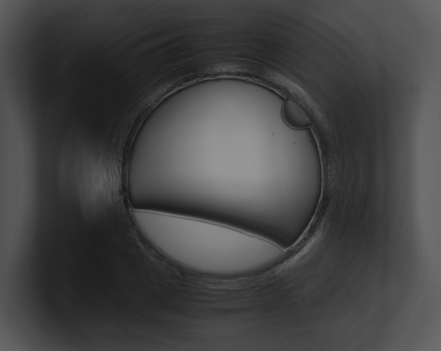 X0000100950833200806241121