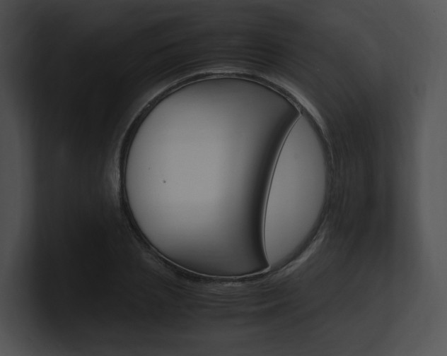 X0000100950837200806241121