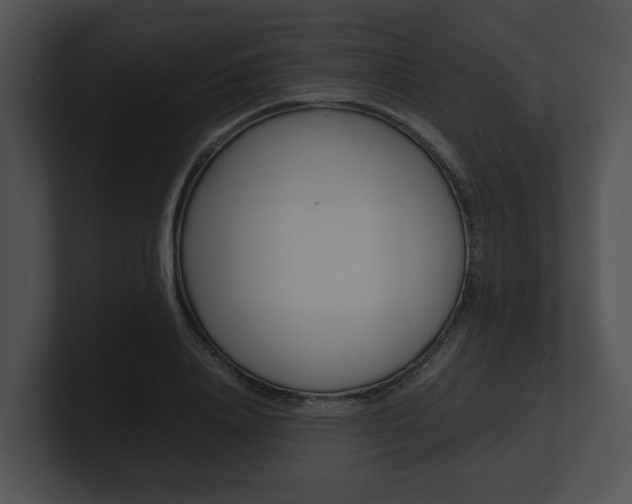X0000100950840200806241121