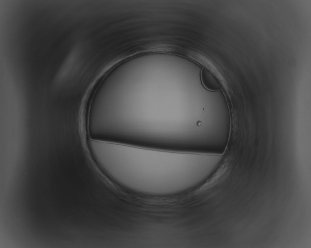 X0000100950843200806241121