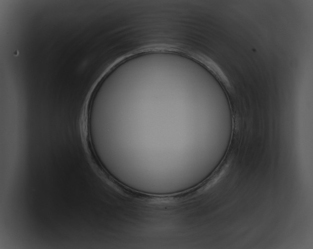 X0000100950844200806241121