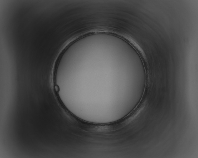 X0000100950845200806241121