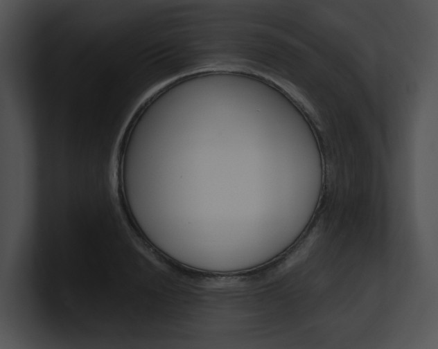 X0000100950846200806241121
