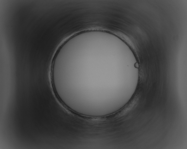 X0000100950847200806241121