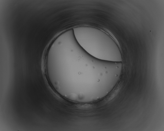 X0000100950851200806241121