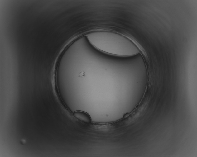 X0000100950853200806241121
