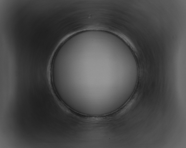 X0000100950854200806241121