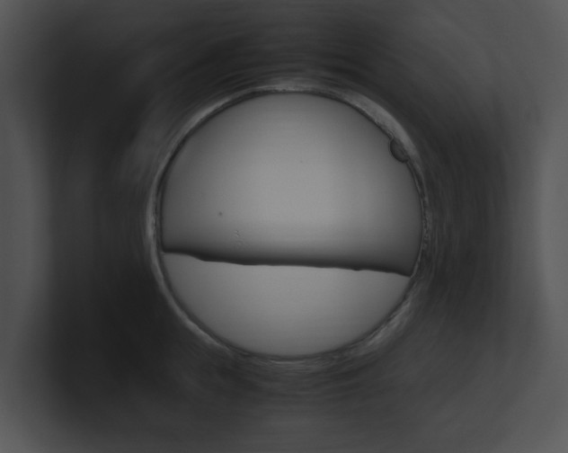 X0000100950855200806241121