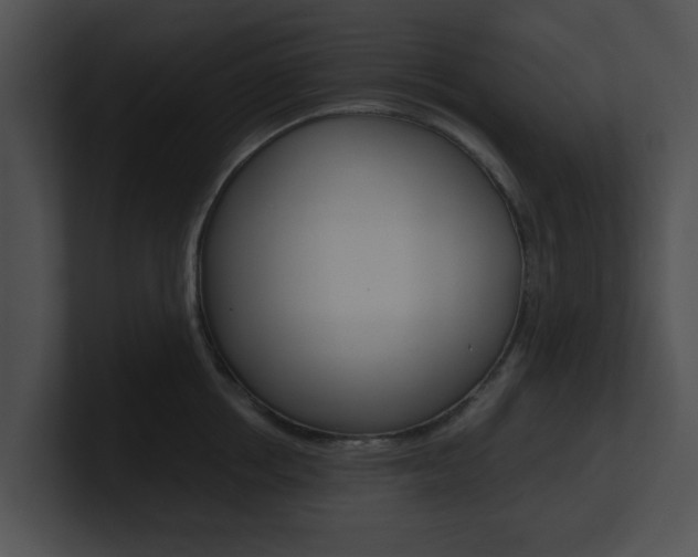 X0000100950858200806241121