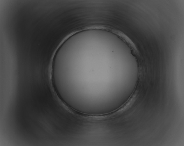 X0000100950860200806241121