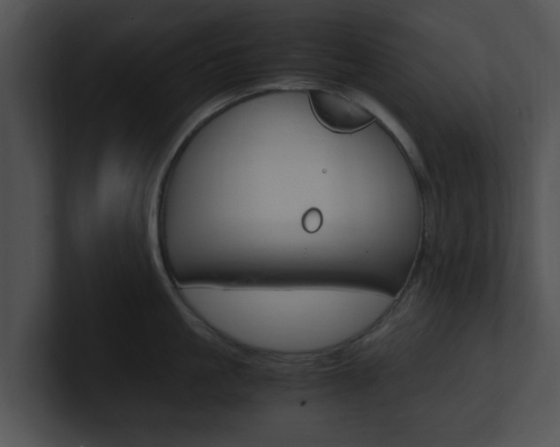 X0000100950861200806241121