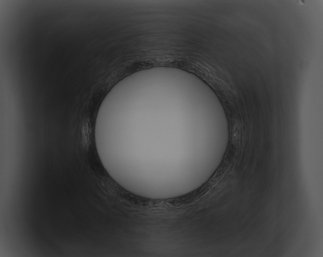 X0000100950866200806241121