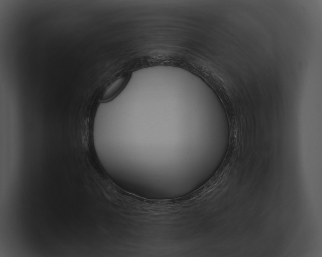 X0000100950868200806241121