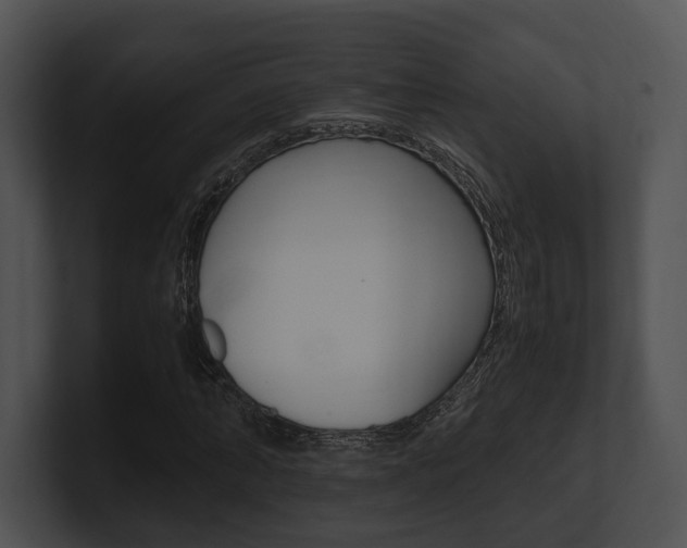 X0000100950870200806241121