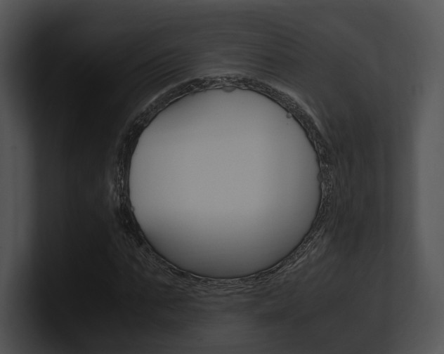 X0000100950871200806241121