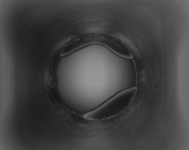 X0000100950872200806241121