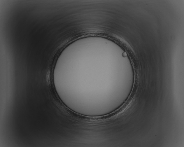 X0000100950873200806241121