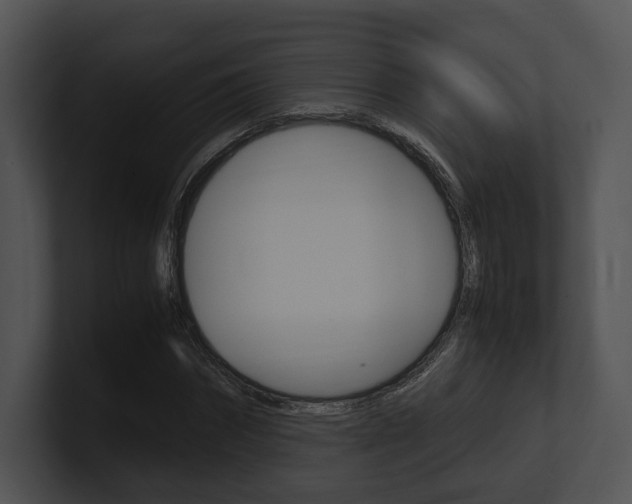 X0000100950874200806241121