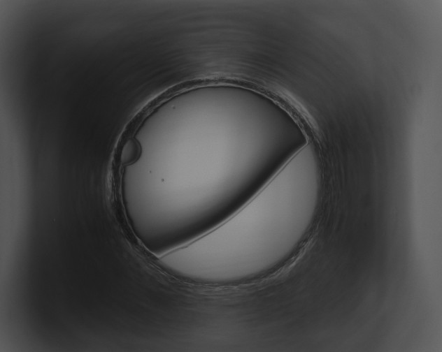 X0000100950876200806241120