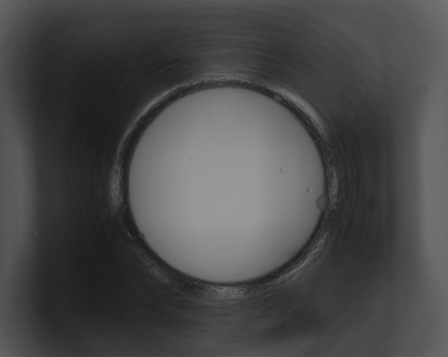 X0000100950878200806241120
