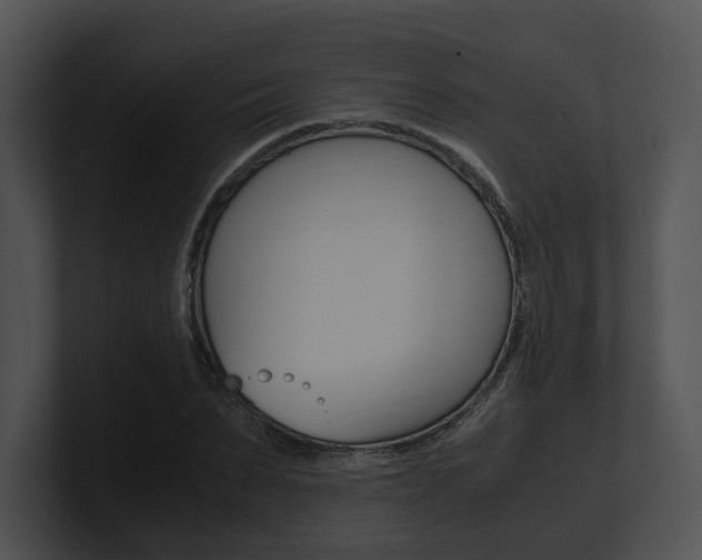 X0000100950879200806241120