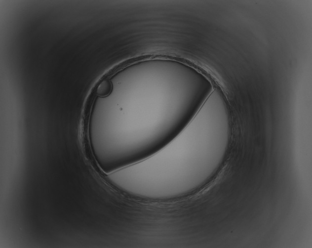 X0000100950880200806241120