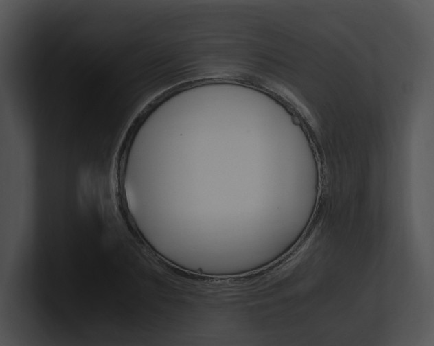 X0000100950883200806241120