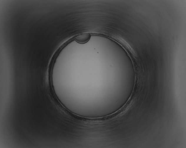 X0000100950884200806241120