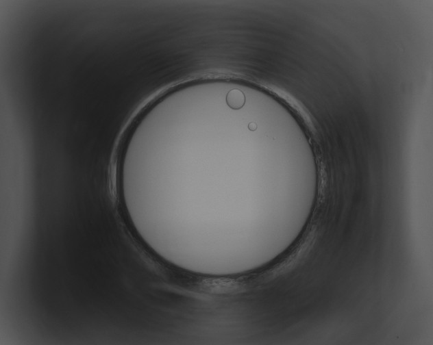 X0000100950886200806241120