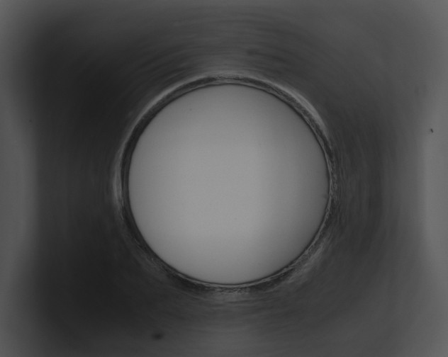 X0000100950887200806241120