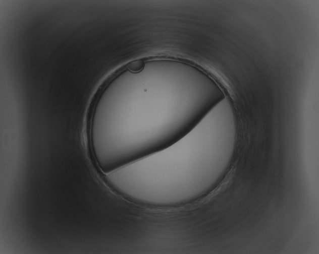 X0000100950888200806241120