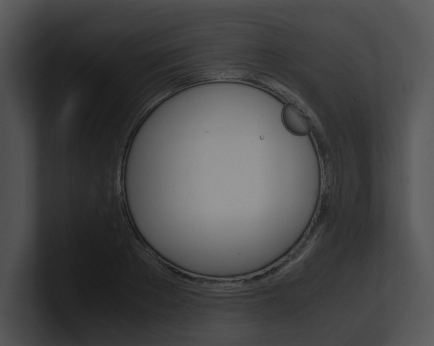 X0000100950889200806241120