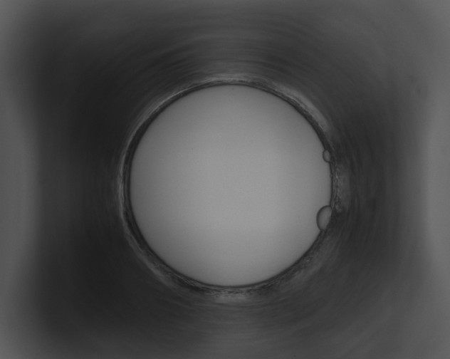 X0000100950890200806241120