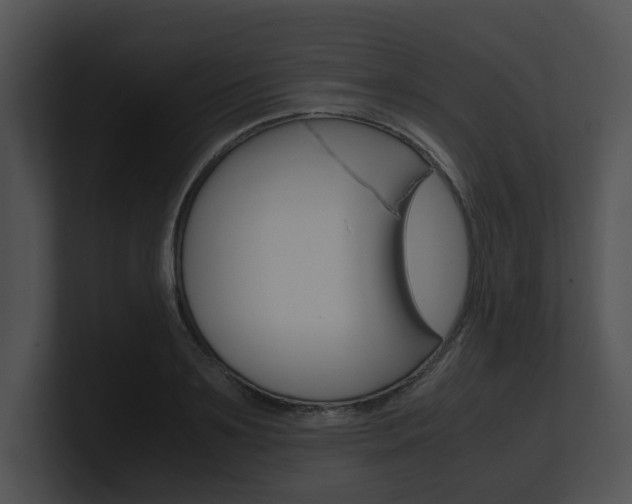 X0000100950891200806241120