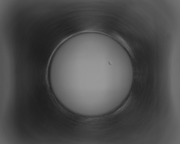 X0000100950892200806241120