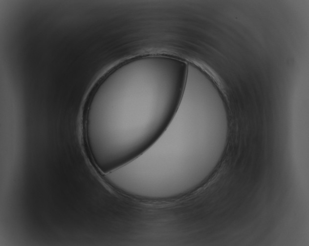 X0000100950894200806241120