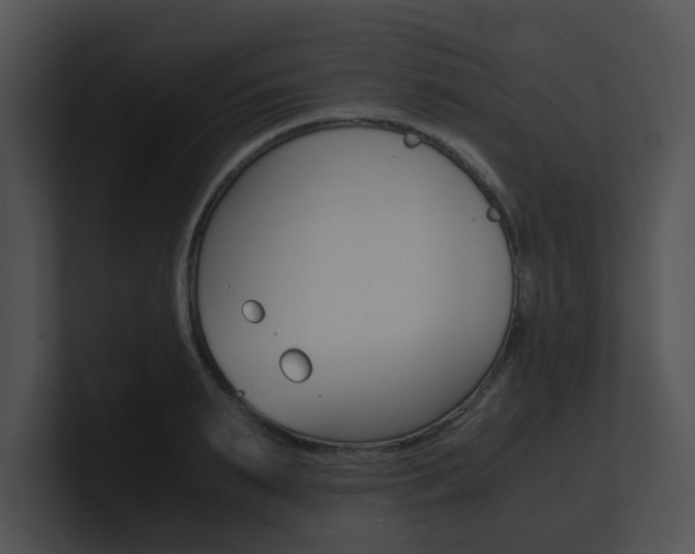 X0000100950895200806241120