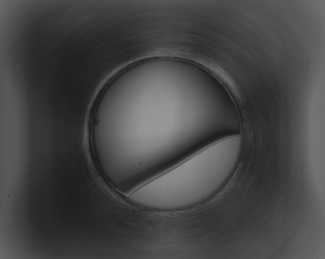 X0000100950896200806241120