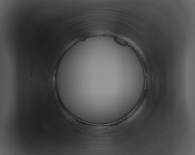 X0000100950897200806241120