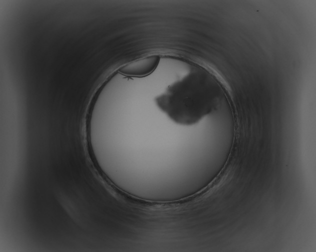 X0000100950898200806241120