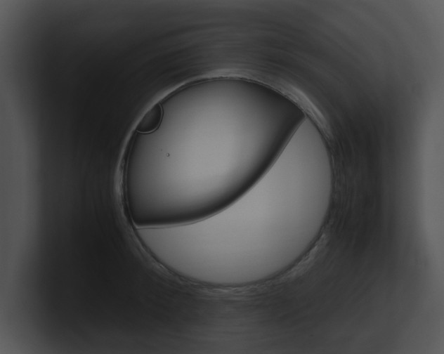 X0000100950900200806241120