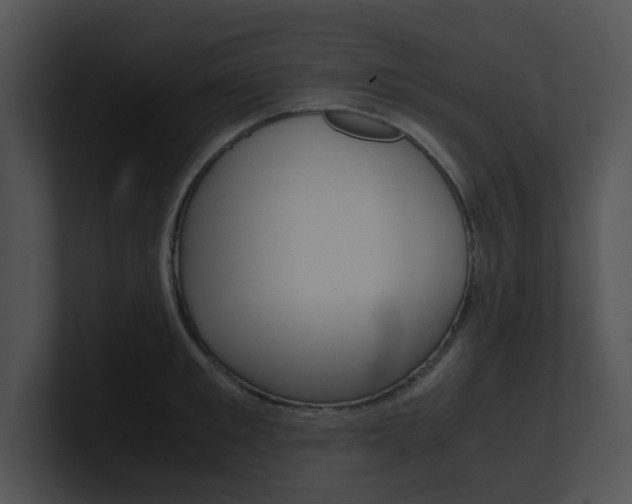 X0000100950901200806241120