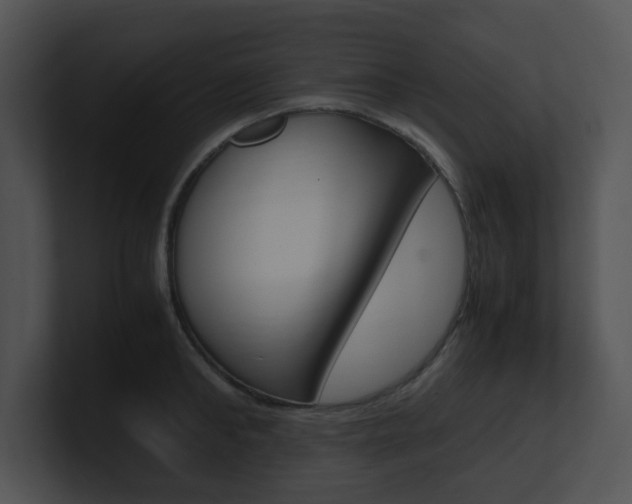 X0000100950902200806241120