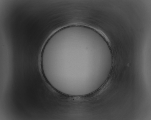 X0000100950903200806241120